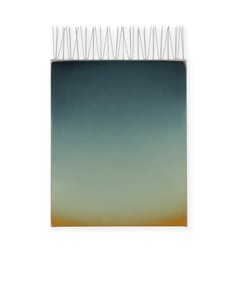 Anti-bird, 2023, Oil on linen, 55 x 45 cm