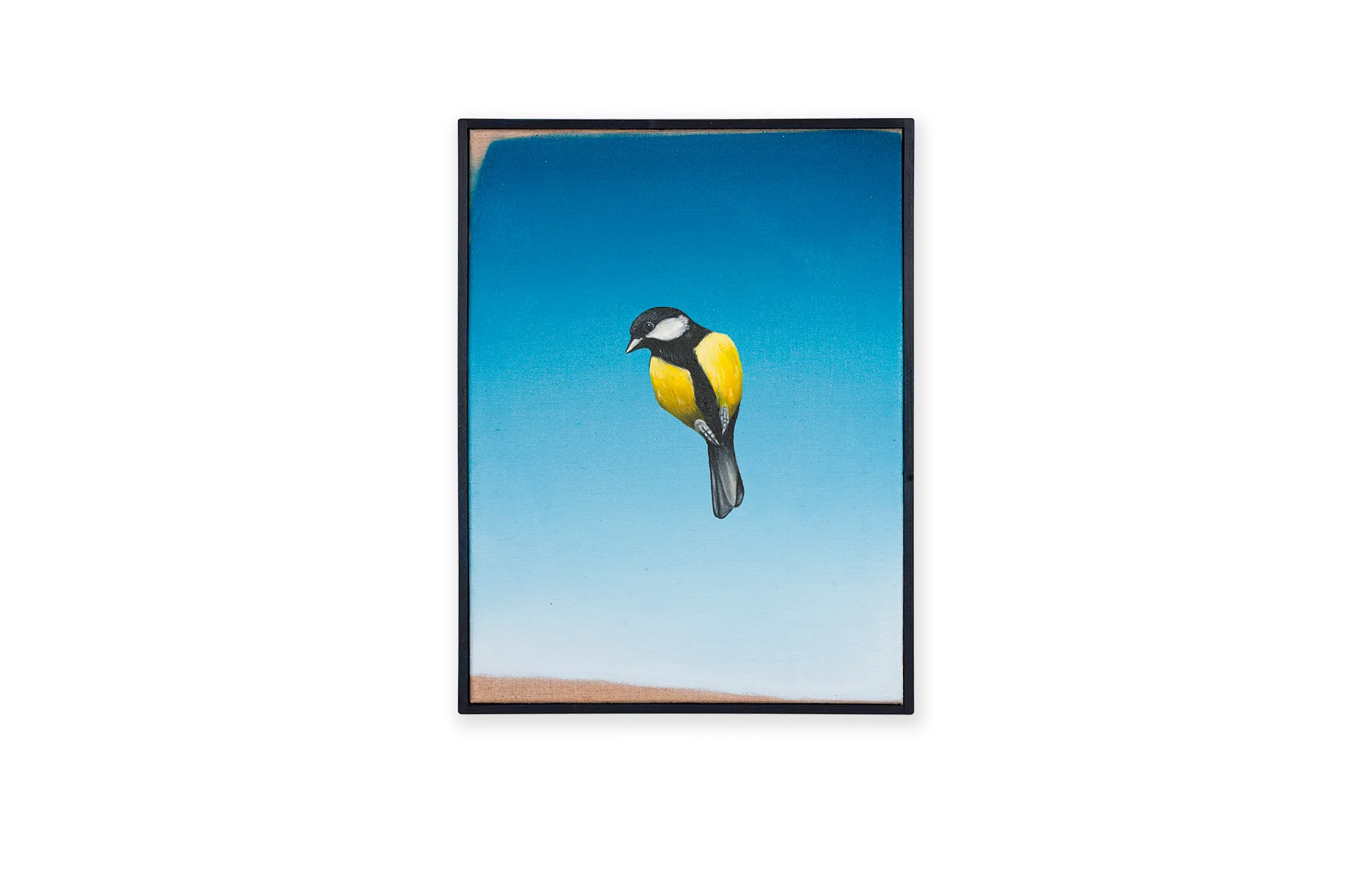 Great Tit, 2022, oil on linen, 40 x 30 cm